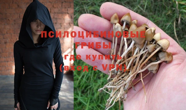 бутират Козловка