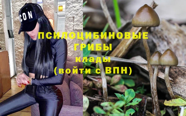 синтетический гашиш Козельск