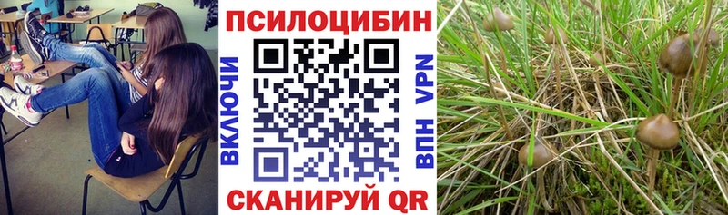 Псилоцибиновые грибы MAGIC MUSHROOMS  Купить  Емва 