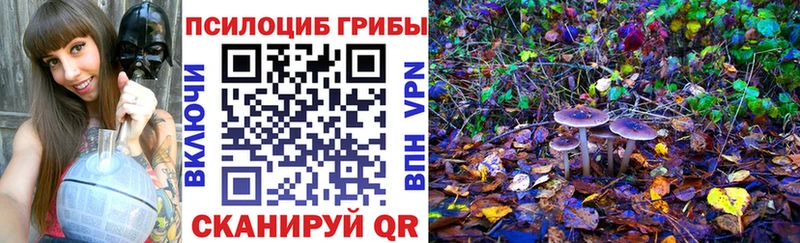 Псилоцибиновые грибы Magic Shrooms Емва