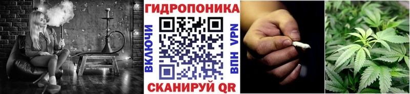 Купить  Емва  Каннабис гибрид 